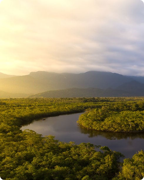 Cometais - Embaixadores do Meio Ambiente no Amazonas